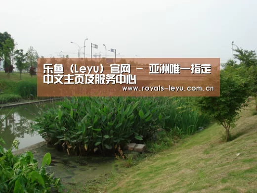 案例展示四(图1)