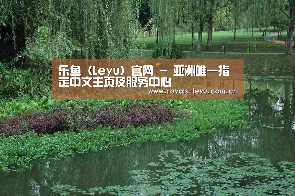 案例展示一(图1)