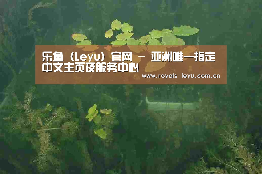 案例展示三(图1)