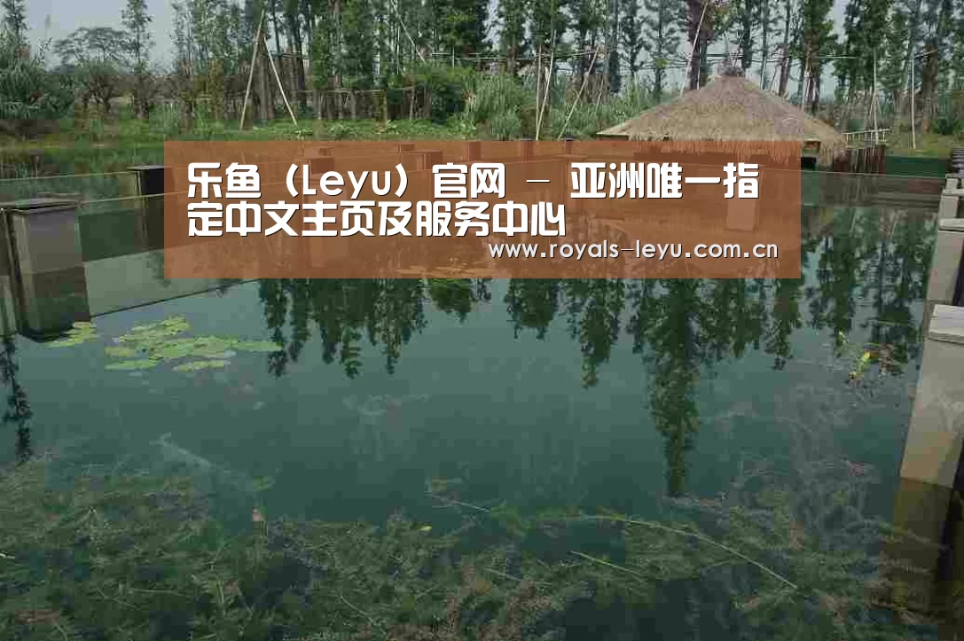 案例展示二