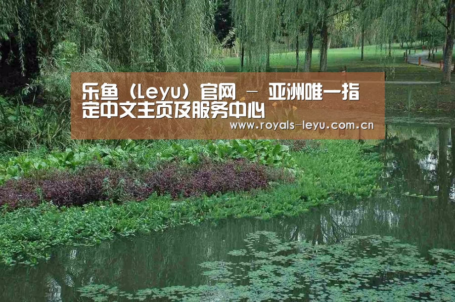 案例展示一