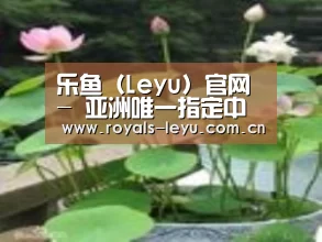 产品名称一