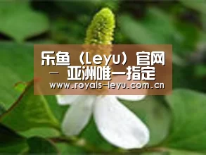 产品名称三