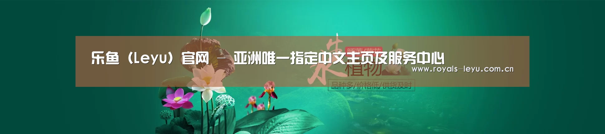 鲜花水草花卉网站模板