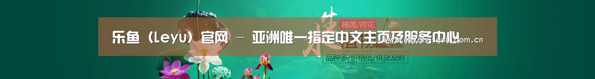鲜花水草花卉网站模板