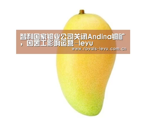 智利国家铜业公司关闭Andina铜矿,因罢工影响运营-leyu(图4) 乐鱼