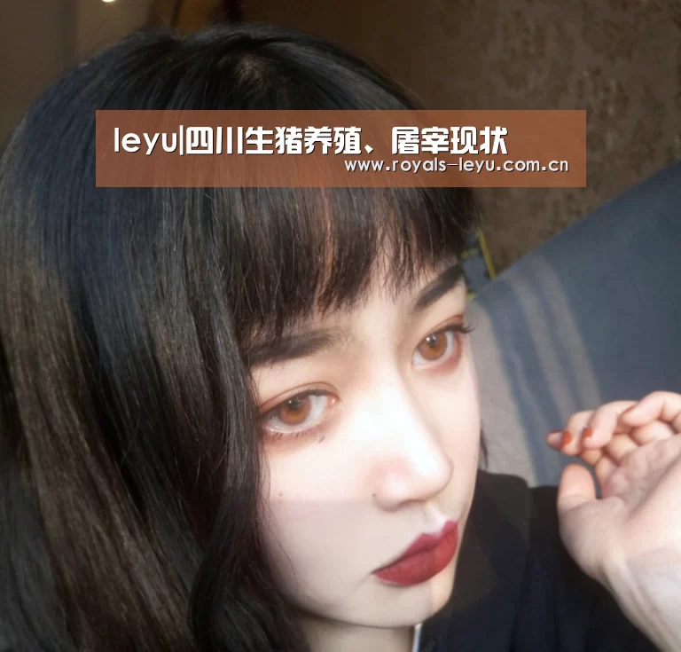 leyu|四川生猪养殖、屠宰现状(图2) 乐鱼