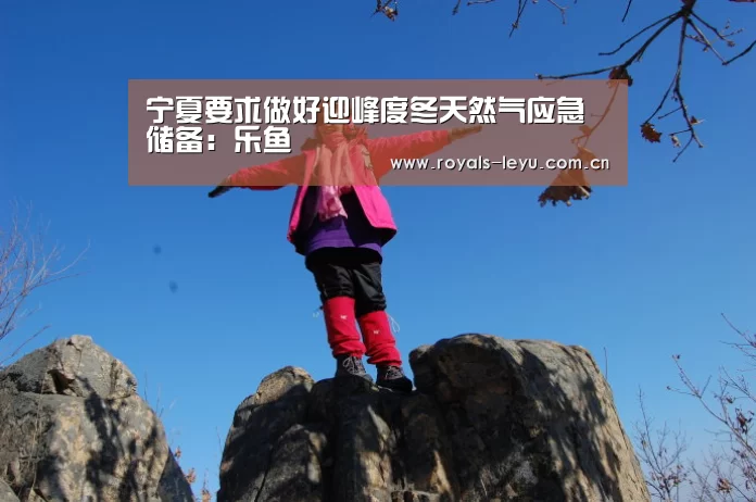 乐鱼
