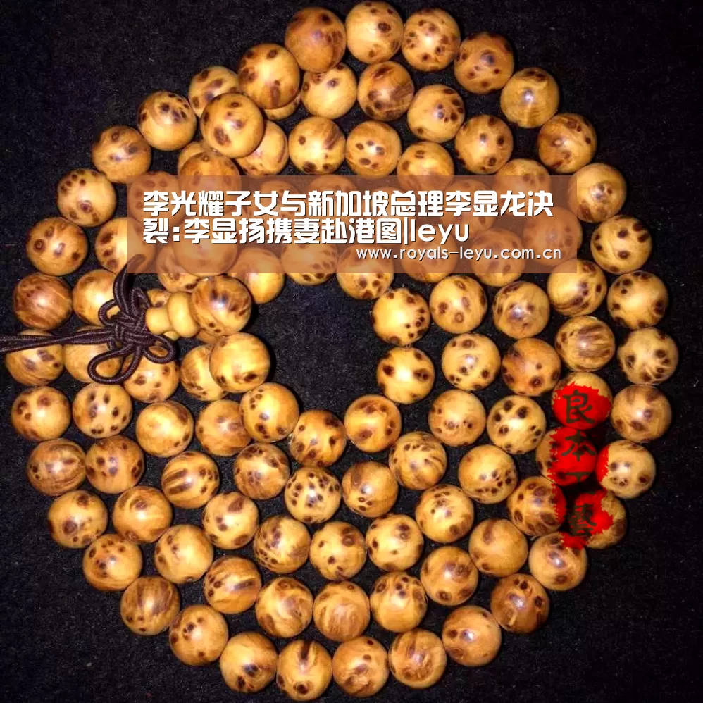 李光耀子女与新加坡总理李显龙决裂:李显扬携妻赴港图|leyu(图3) 乐鱼体育