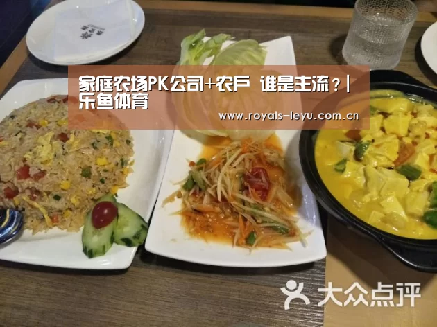 家庭农场PK公司+农户 谁是主流?|乐鱼体育(图1) 家庭农场PK公司+农户 谁是主流?|乐鱼体育(图1)