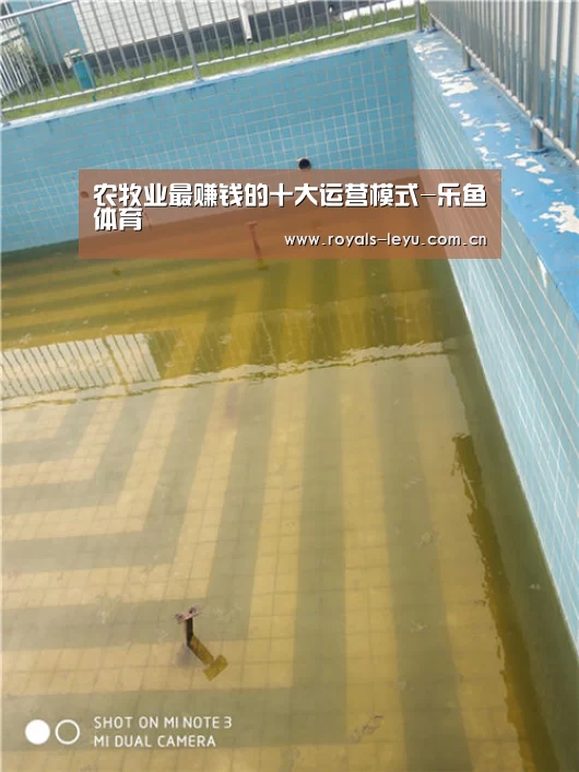 农牧业最赚钱的十大运营模式-乐鱼体育(图1) 乐鱼体育