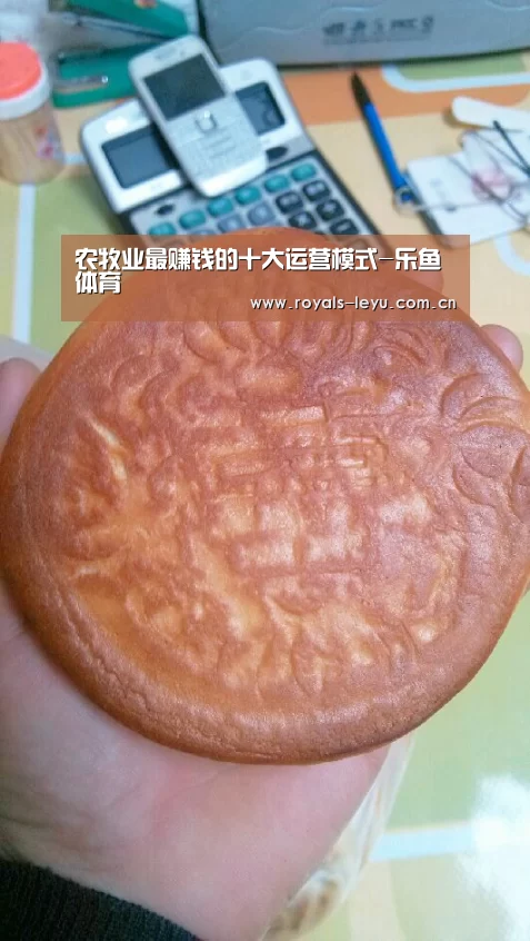 农牧业最赚钱的十大运营模式-乐鱼体育(图3) 农牧业最赚钱的十大运营模式-乐鱼体育(图3)