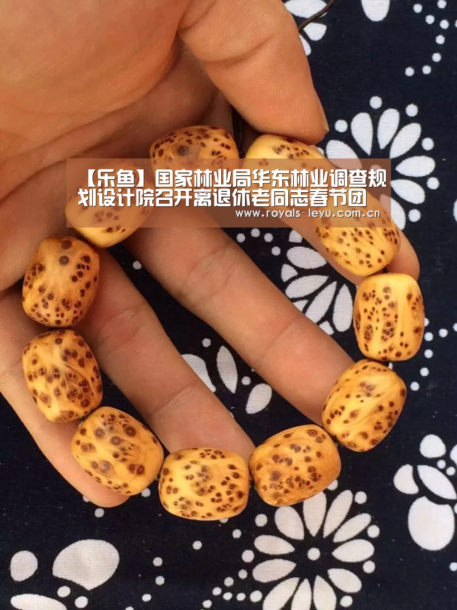 【乐鱼】国家林业局华东林业调查规划设计院召开离退休老同志春节团拜会(图3) 乐鱼