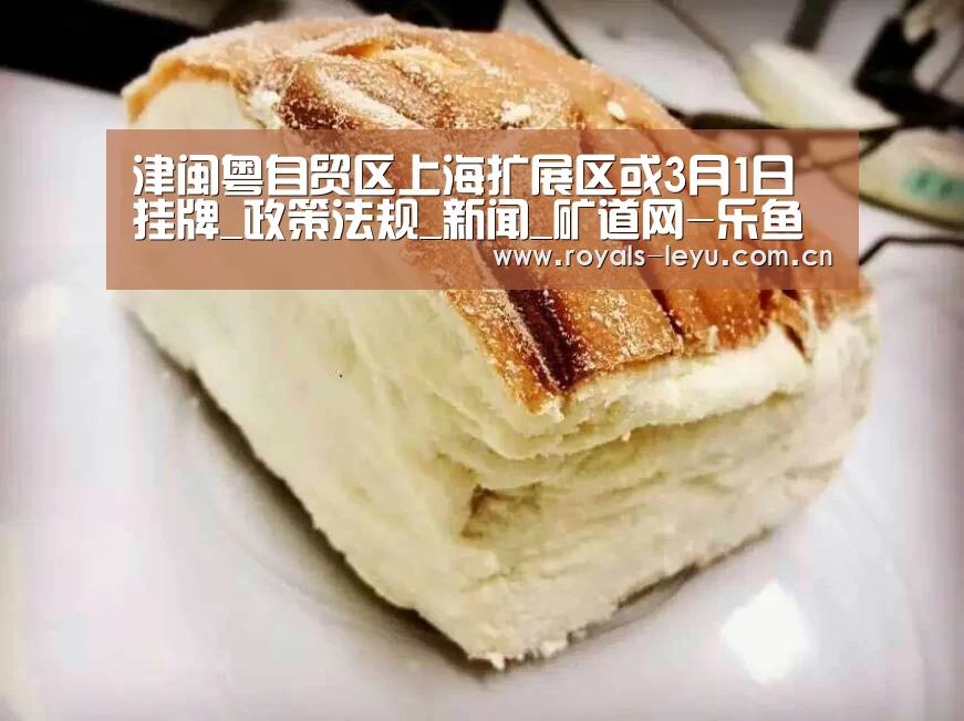 津闽粤自贸区上海扩展区或3月1日挂牌_政策法规_新闻_矿道网-乐鱼体育(图2) 津闽粤自贸区上海扩展区或3月1日挂牌_政策法规_新闻_矿道网-乐鱼体育(图2)