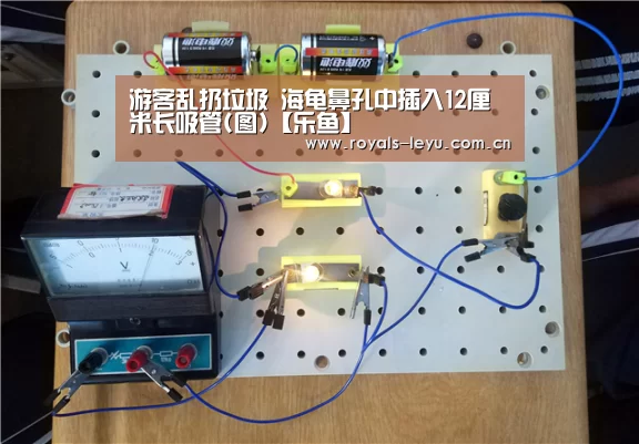 游客乱扔垃圾 海龟鼻孔中插入12厘米长吸管(图)【乐鱼】(图1) 乐鱼