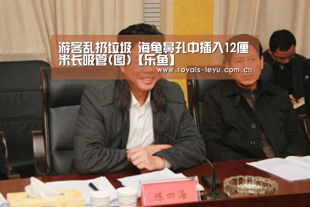 游客乱扔垃圾 海龟鼻孔中插入12厘米长吸管(图)【乐鱼】(图2) 游客乱扔垃圾 海龟鼻孔中插入12厘米长吸管(图)【乐鱼】(图2)
