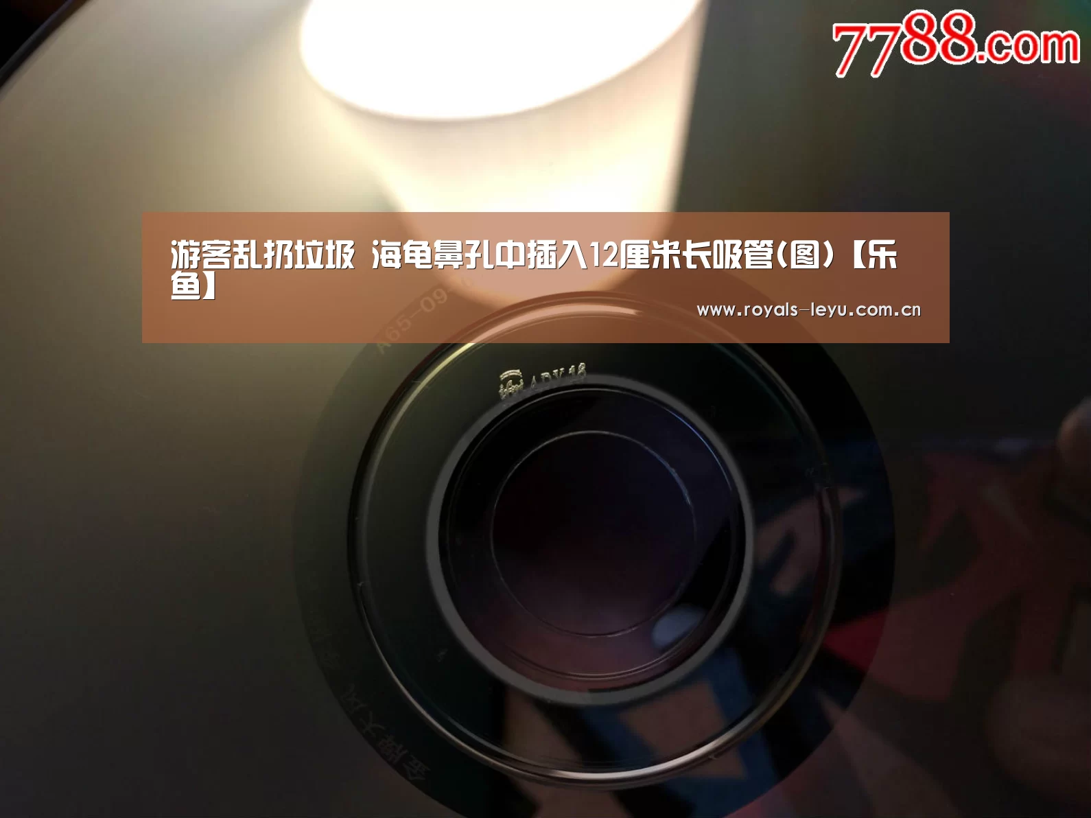 游客乱扔垃圾 海龟鼻孔中插入12厘米长吸管(图)【乐鱼】(图3) 乐鱼