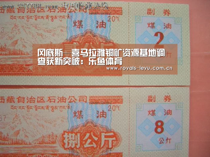 冈底斯—喜马拉雅铜矿资源基地调查获新突破:乐鱼体育(图4) 冈底斯—喜马拉雅铜矿资源基地调查获新突破:乐鱼体育(图4)