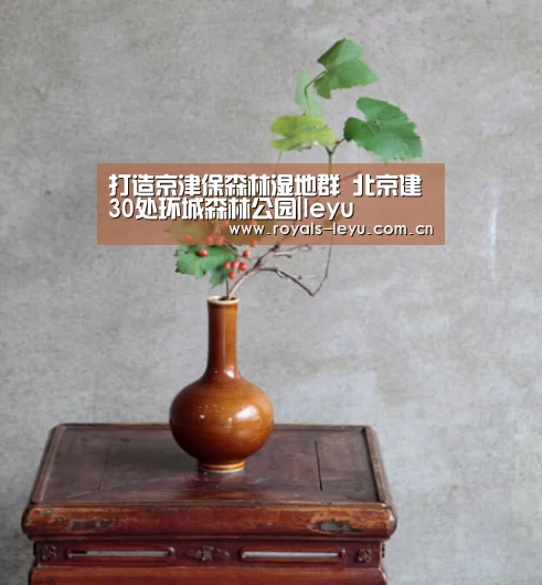 打造京津保森林湿地群 北京建30处环城森林公园|leyu(图1) 乐鱼