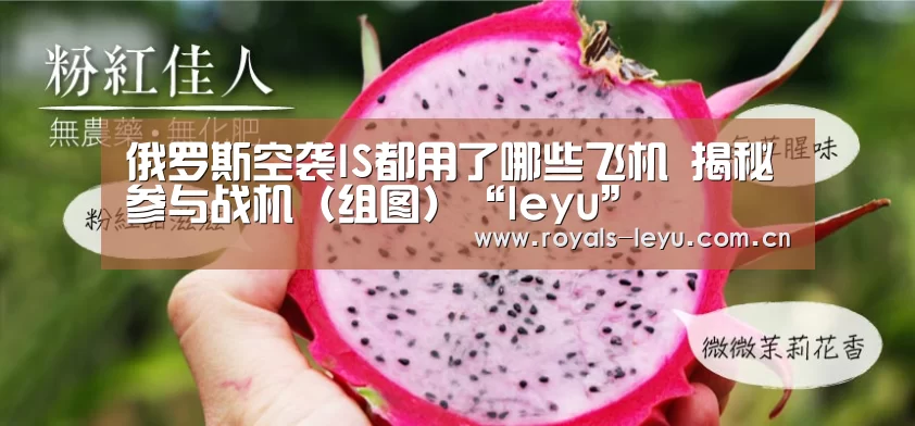 俄罗斯空袭IS都用了哪些飞机 揭秘参与战机（组图）“leyu”(图3)