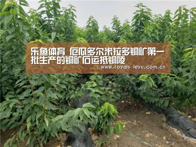 乐鱼体育_厄瓜多尔米拉多铜矿第一批生产的铜矿石运抵铜陵(图3) 乐鱼体育