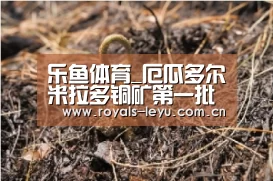 乐鱼体育_厄瓜多尔米拉多铜矿第一批生产的铜矿石运抵铜陵(图2) 乐鱼